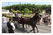 Dužijanca 2013. Subotica